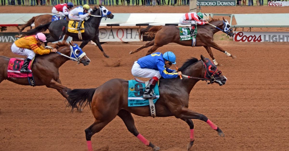 Horse racing scene